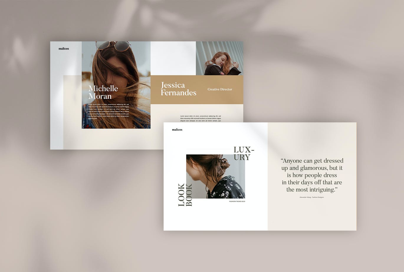 时尚高端简约优雅的高品质powerpoint幻灯片演示母案（pptx）