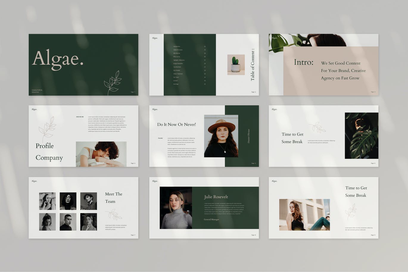 时尚高端专业优雅的powerpoint幻灯片演示模板（pptx）