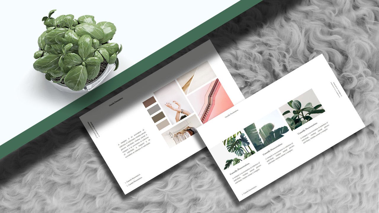 极简风格的优雅powerpoint幻灯片演示模板（pptx）