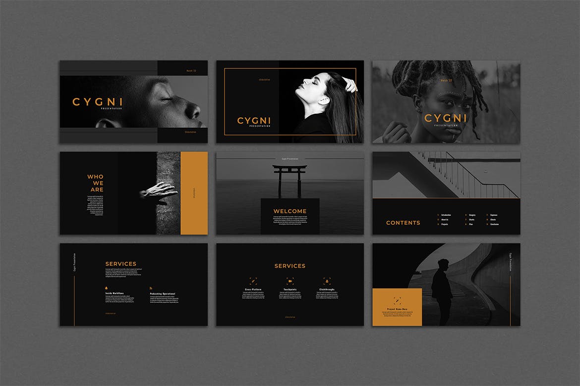 时尚优雅的高端方案介绍PPT模板下载[PPTX]