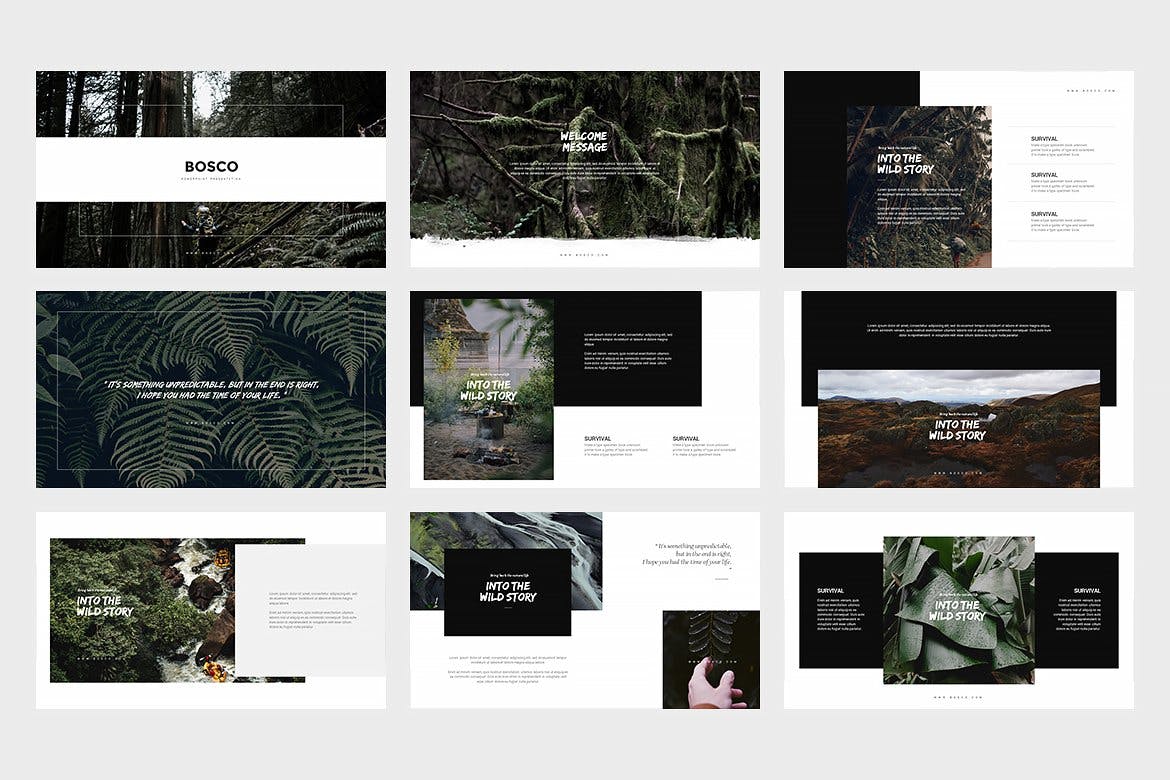 时尚高端优雅的高品质SWOT分析powerpoint幻灯片演示模板（pptx）