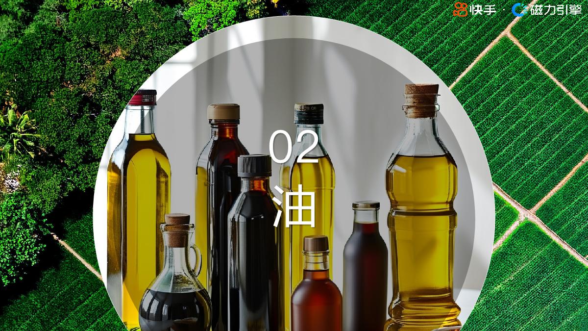 【磁力引擎】2024快手行业人群画像报告-粮油调味类目.pdf