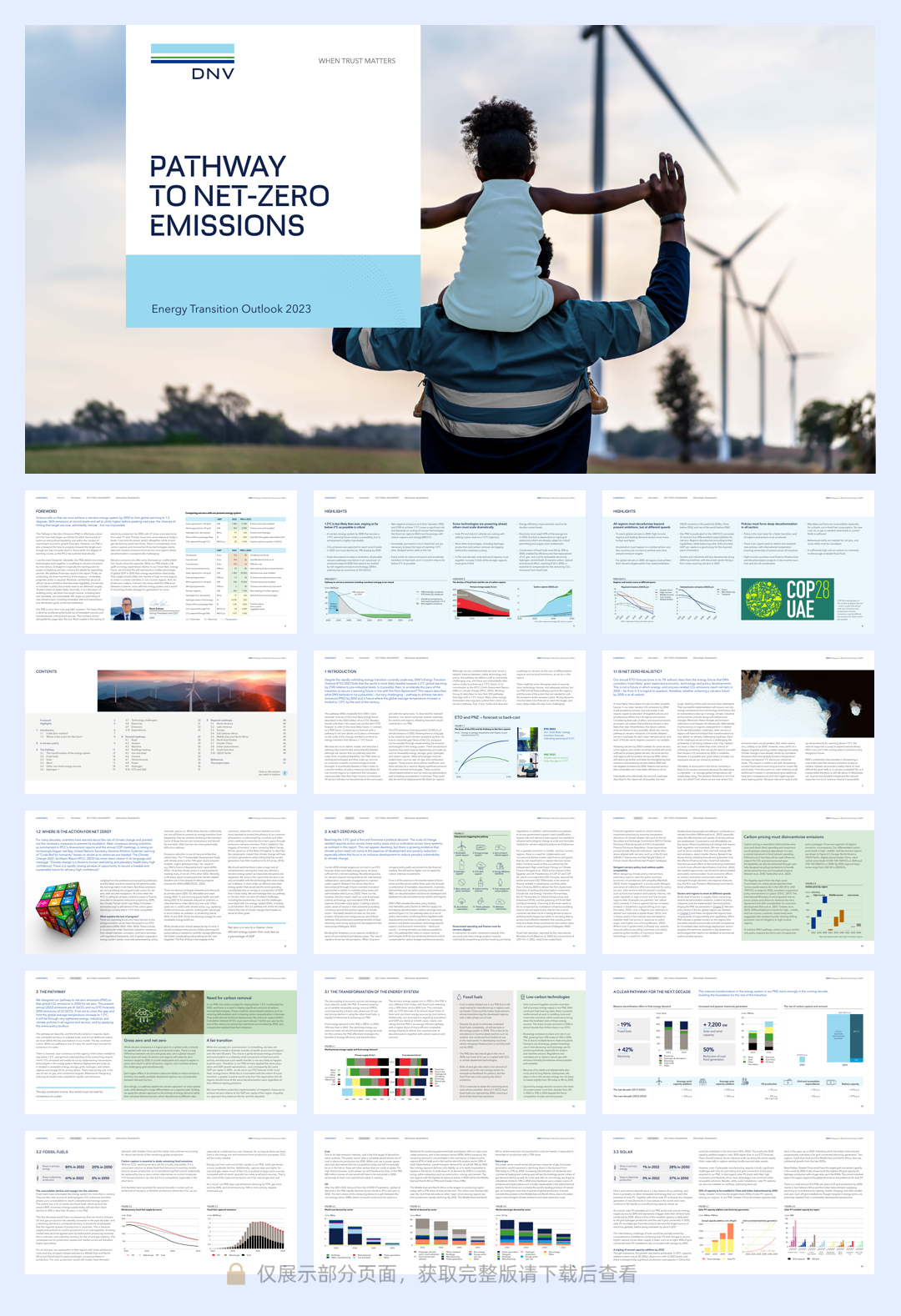 净零排放路径—全球能源转型展望2023-英-52页.pdf