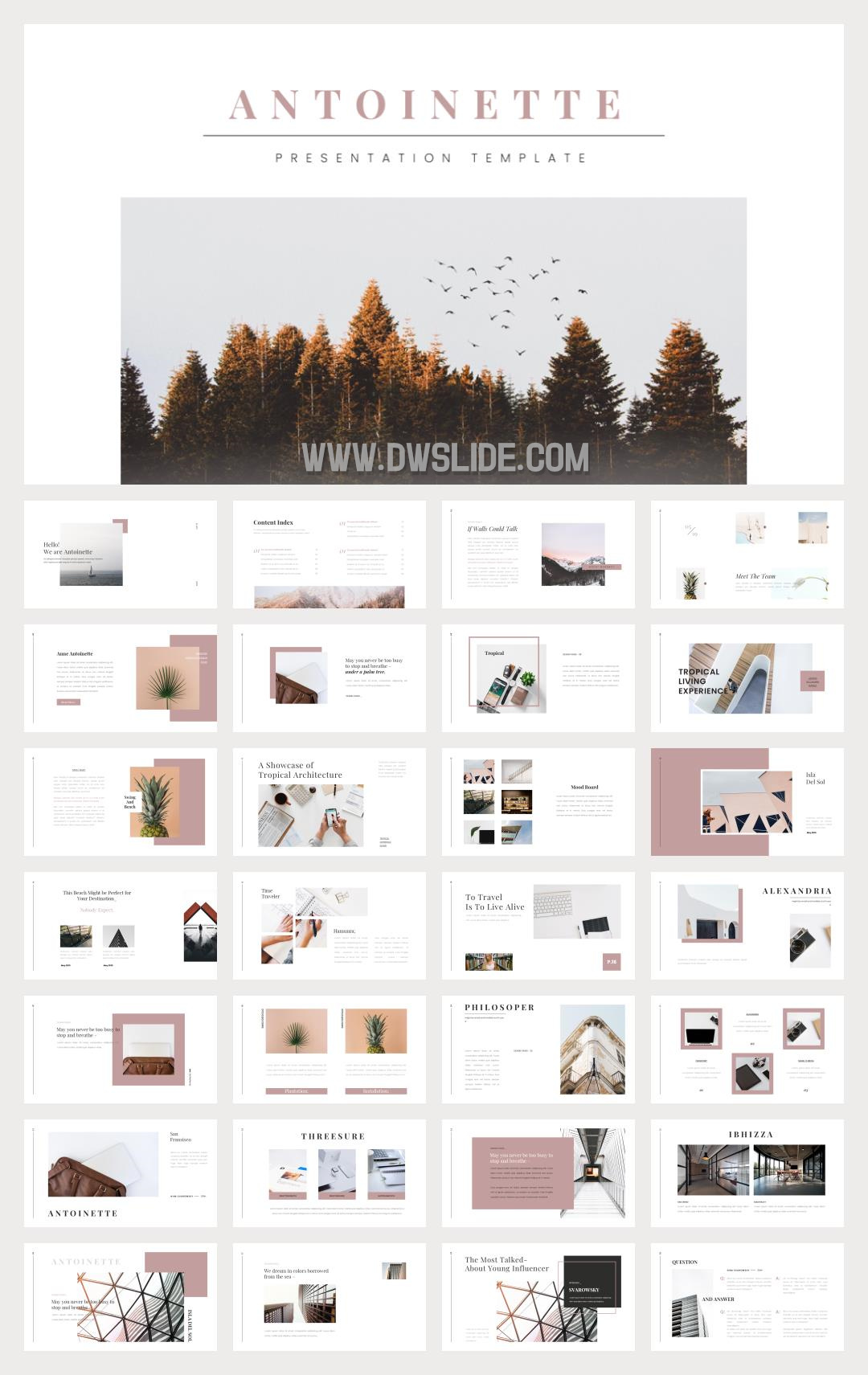 时尚简约清新文艺PPT模板