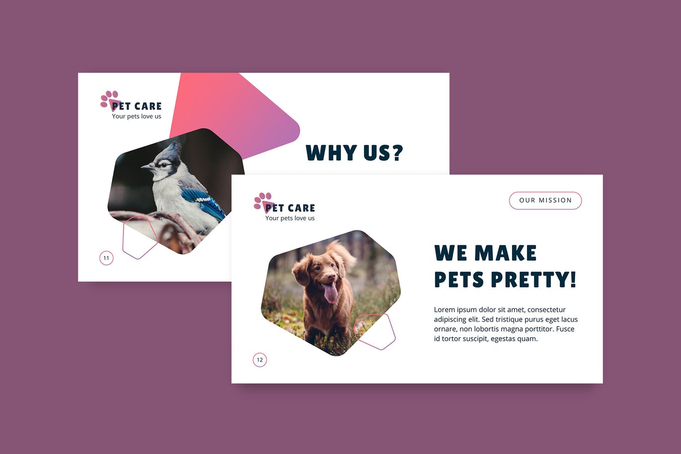 宠物护理管理PPT商业计划书模板下载[PPTX]