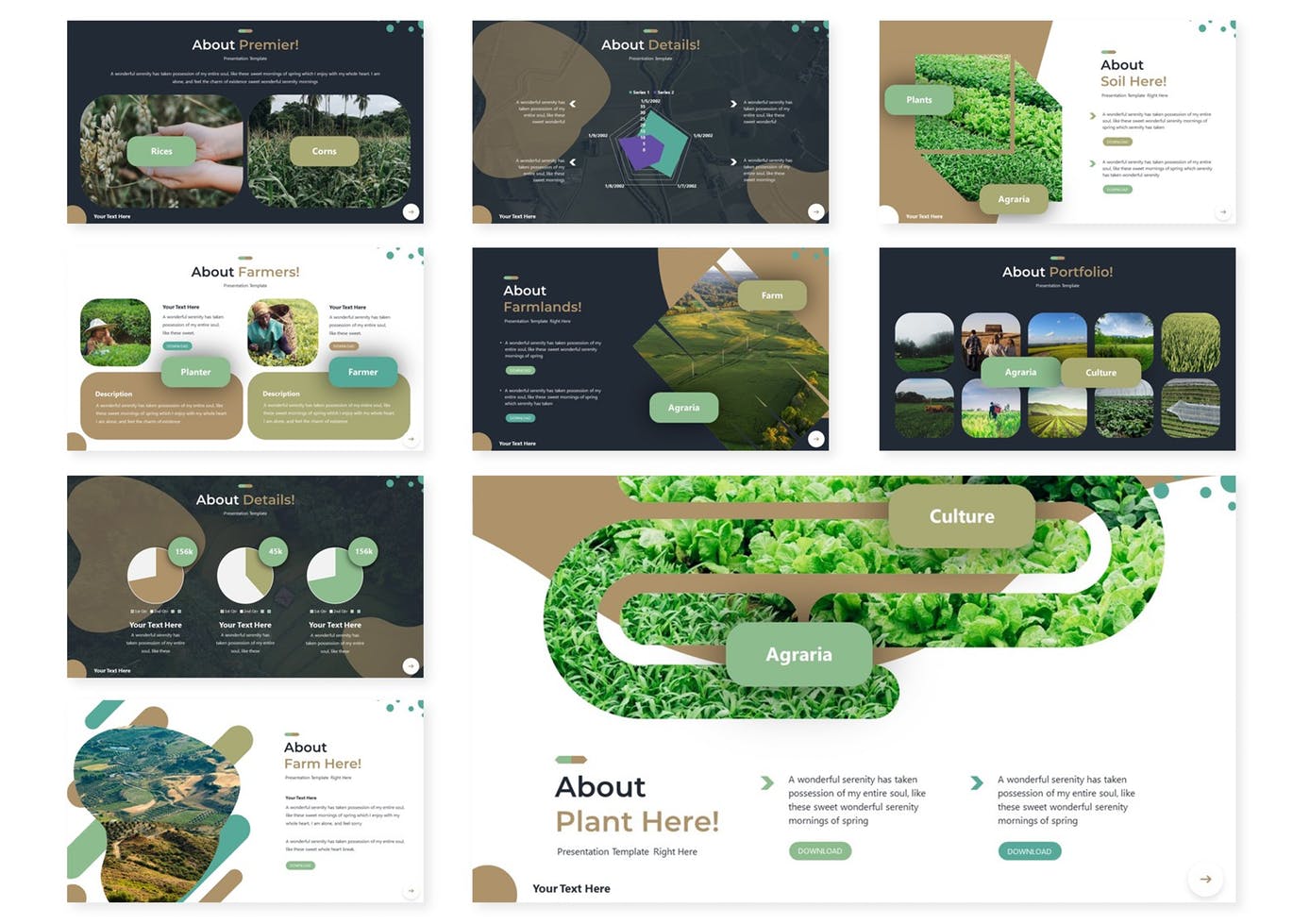 时尚高端简约健康绿色食品powerpoint幻灯片演示模板（pptx）