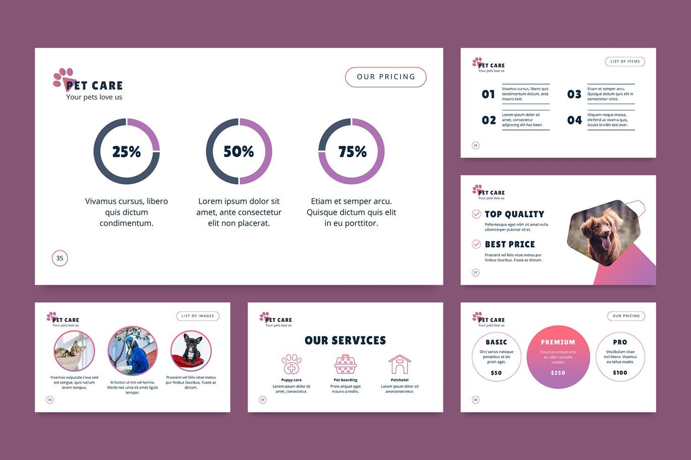 宠物护理管理PPT商业计划书模板下载[PPTX]