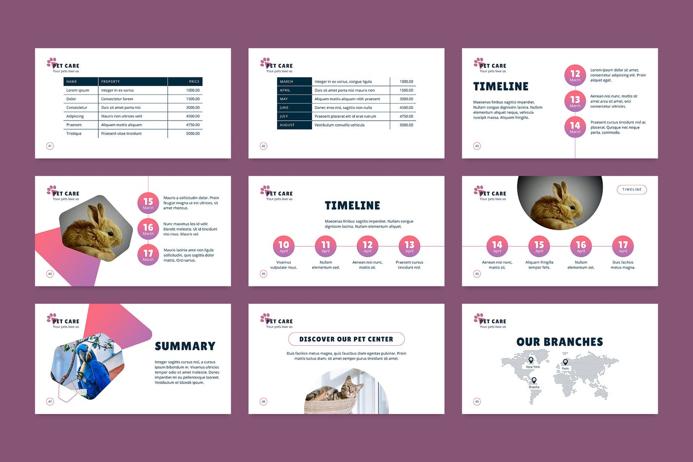 宠物护理管理PPT商业计划书模板下载[PPTX]