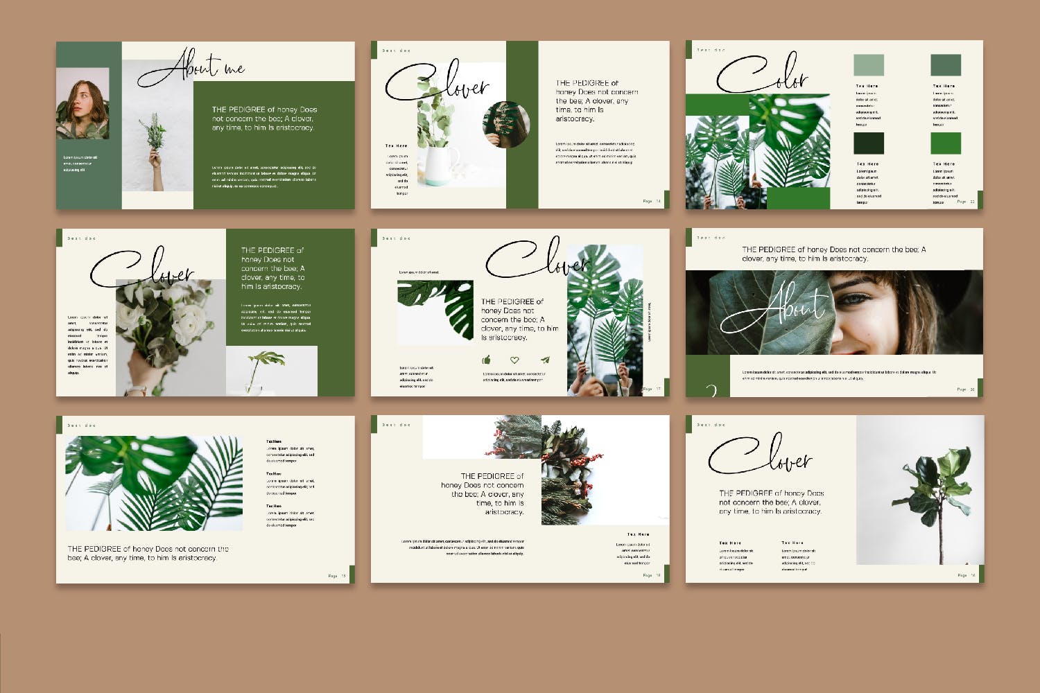 绿色环保高端文艺绿植相关内容的PPT模板 优秀ppt模板 好看的ppt模板下载[PPTX]