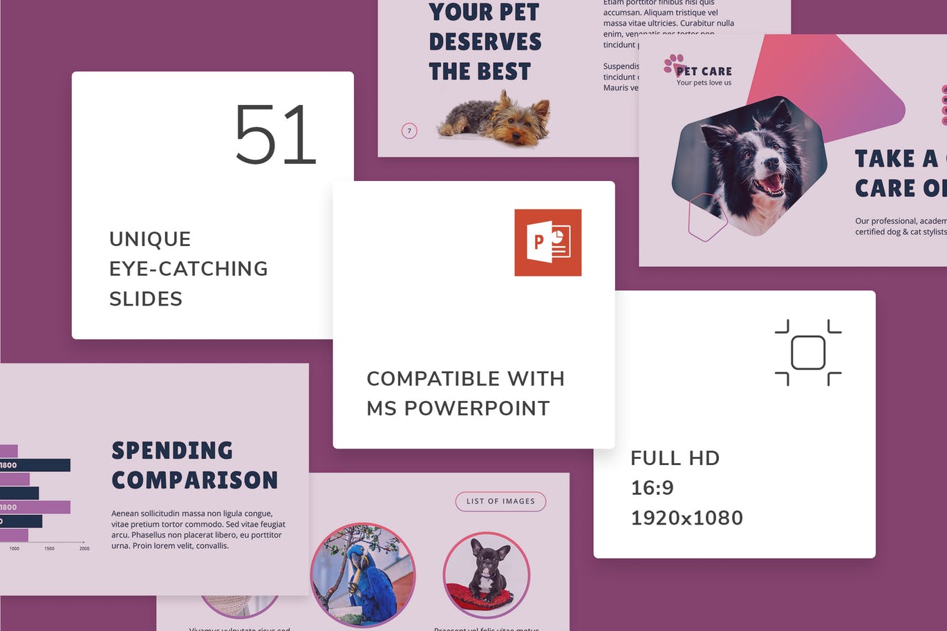 宠物护理管理PPT商业计划书模板下载[PPTX]