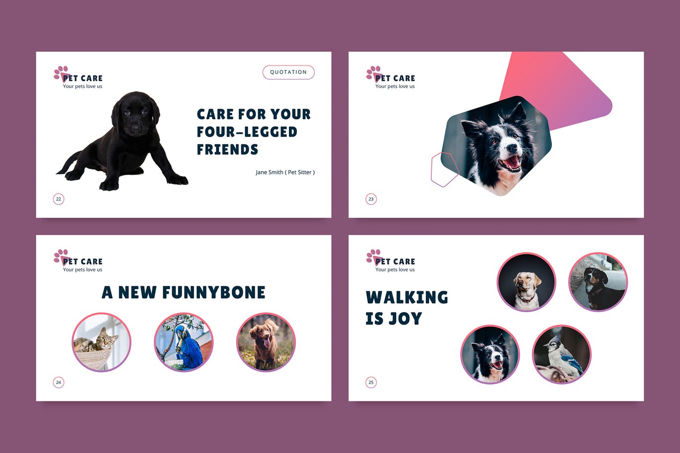 宠物护理管理PPT商业计划书模板下载[PPTX]