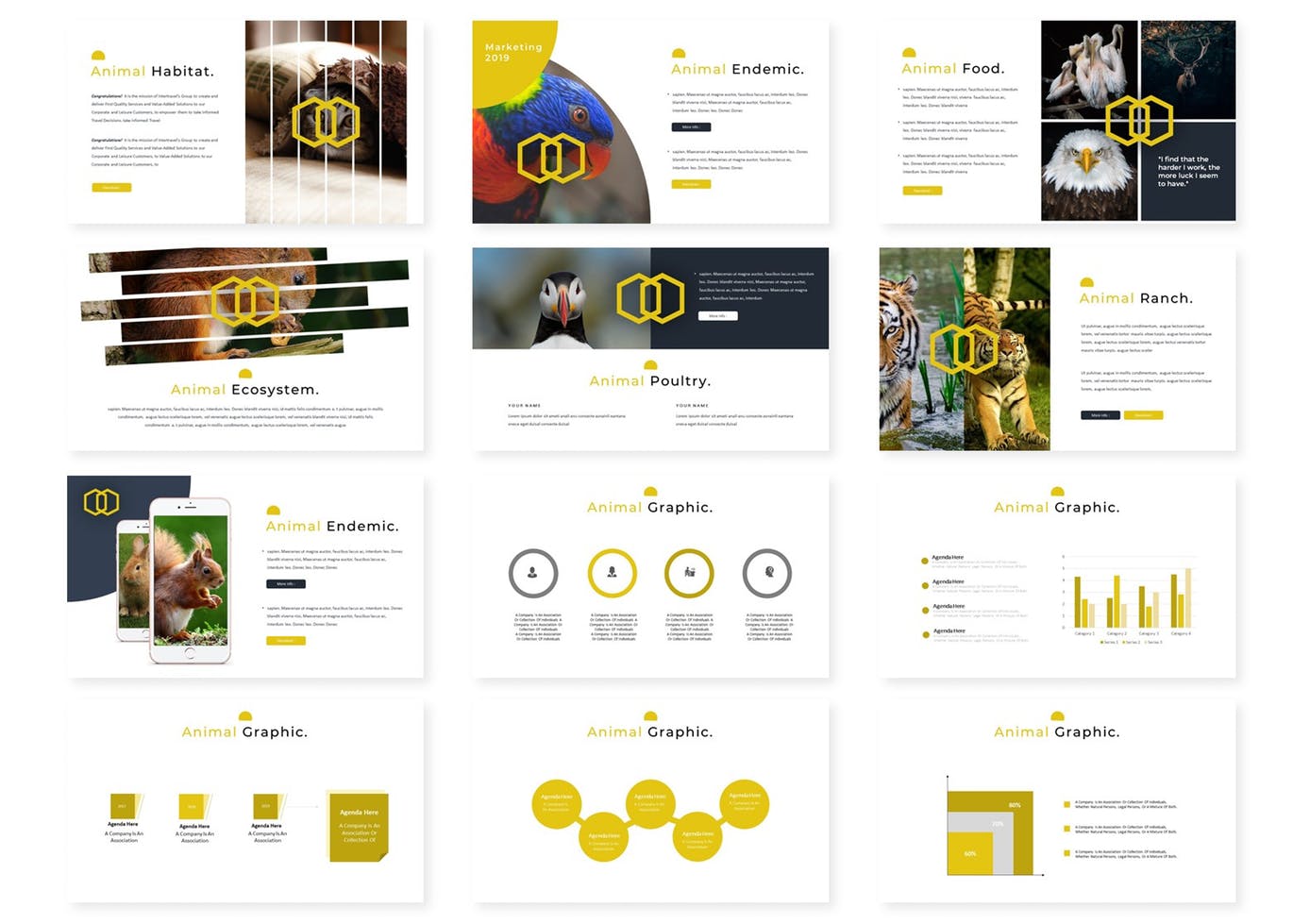 时尚高端多用途的高品质动物powerpoint幻灯片述职报告ppt演示模板（pptx）