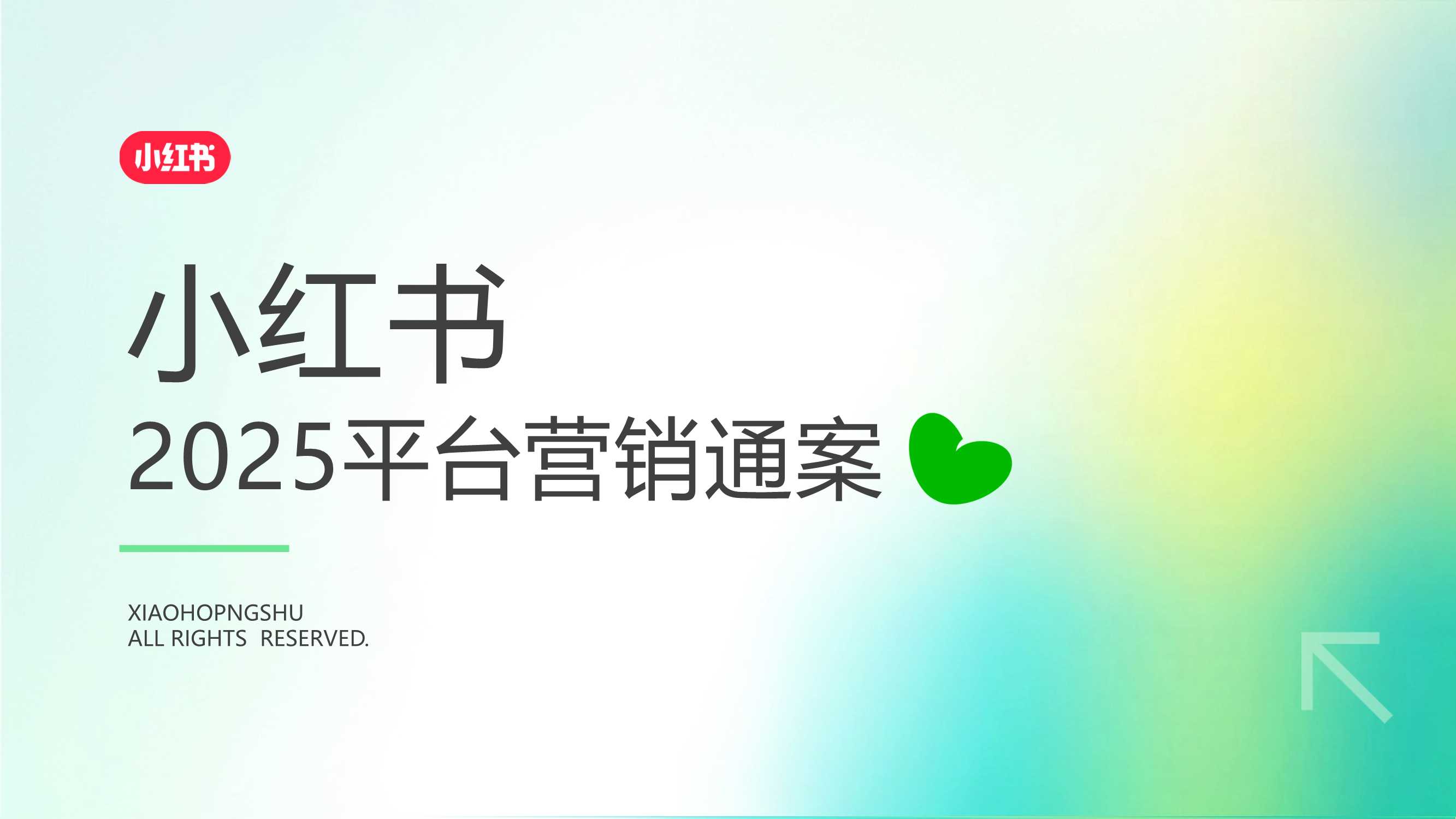 2025小红书平台营销通案.pdf