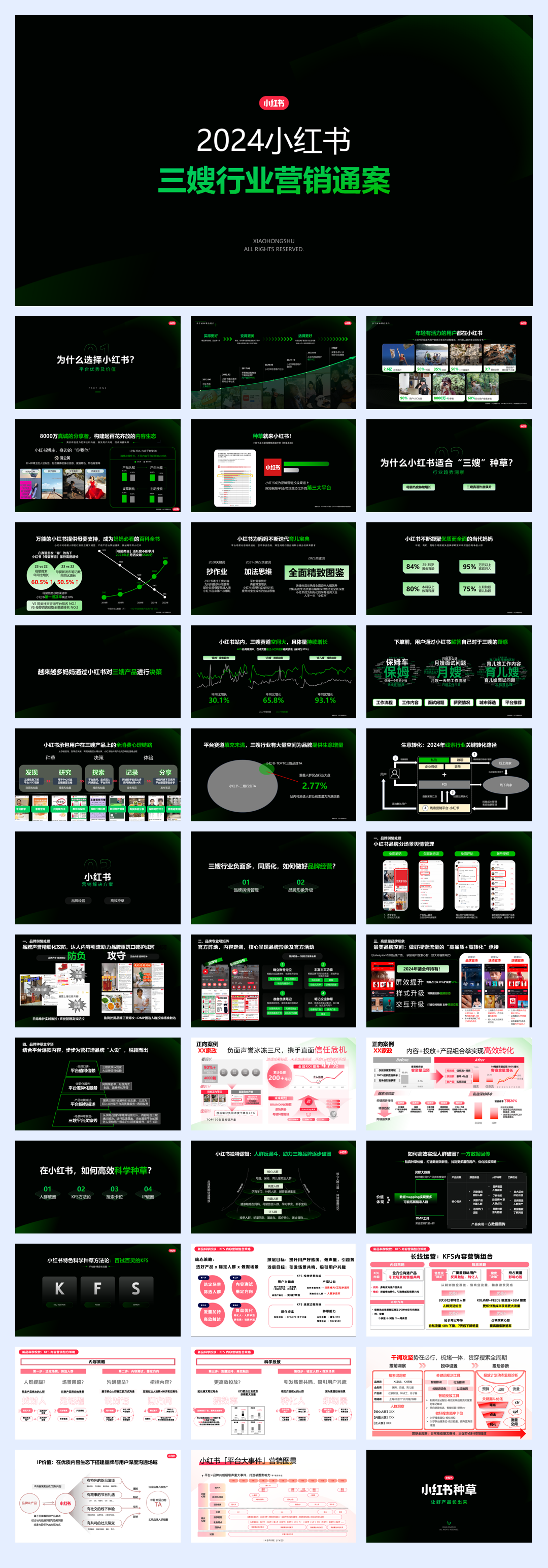 2024小红书三嫂行业营销通案.pdf