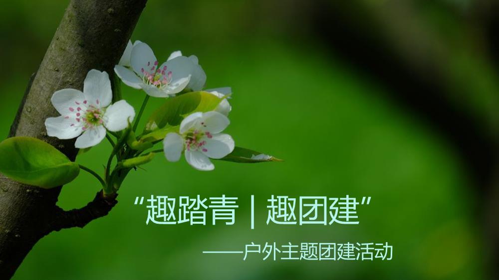 ”趣踏青 趣团建“户外露营春天主题团建活动方案.pptx