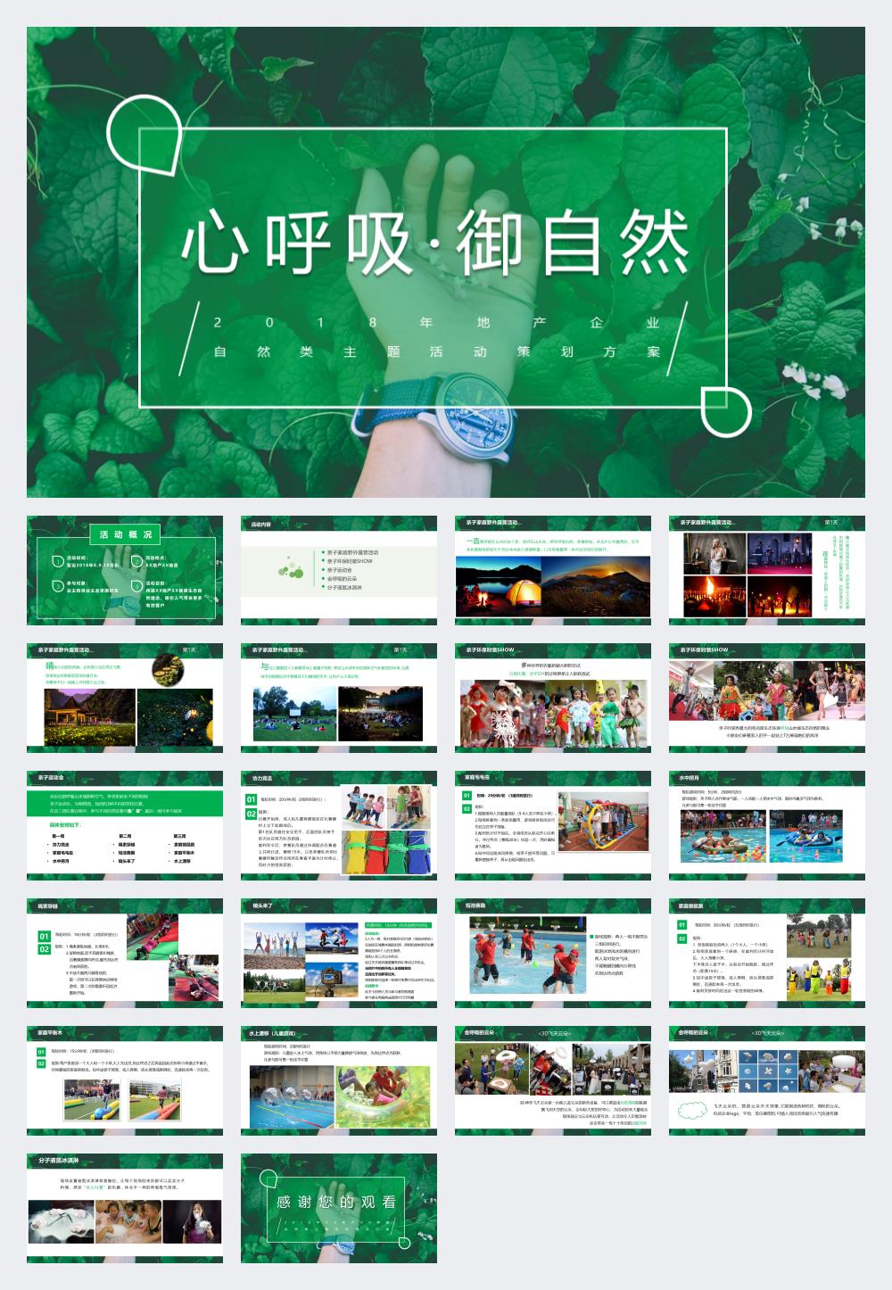房地产自然类主题活动策划案.pptx