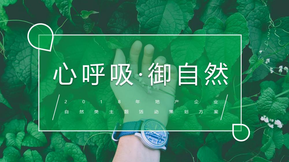 房地产自然类主题活动策划案.pptx