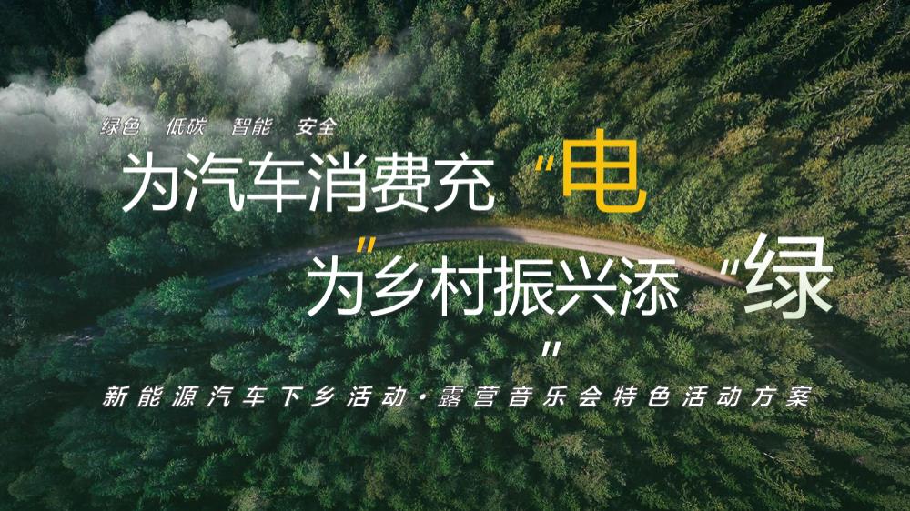 新能源汽车下乡主题活动方案.pptx