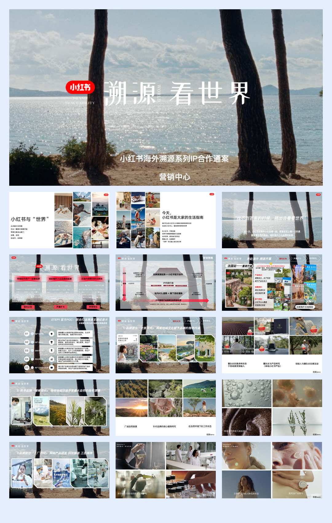 2024小红书溯源看世界IP招商.pdf