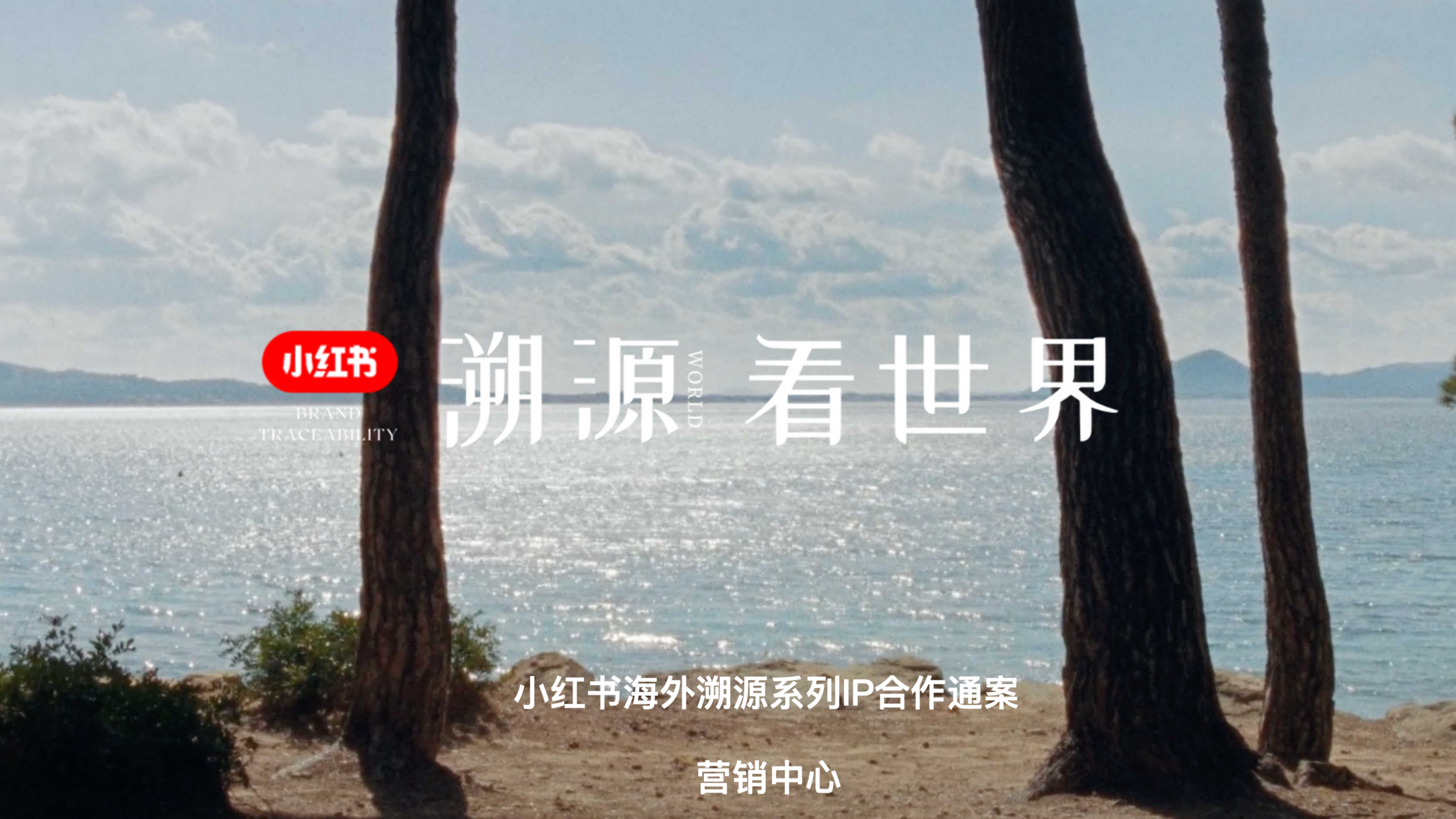 2024小红书溯源看世界IP招商.pdf