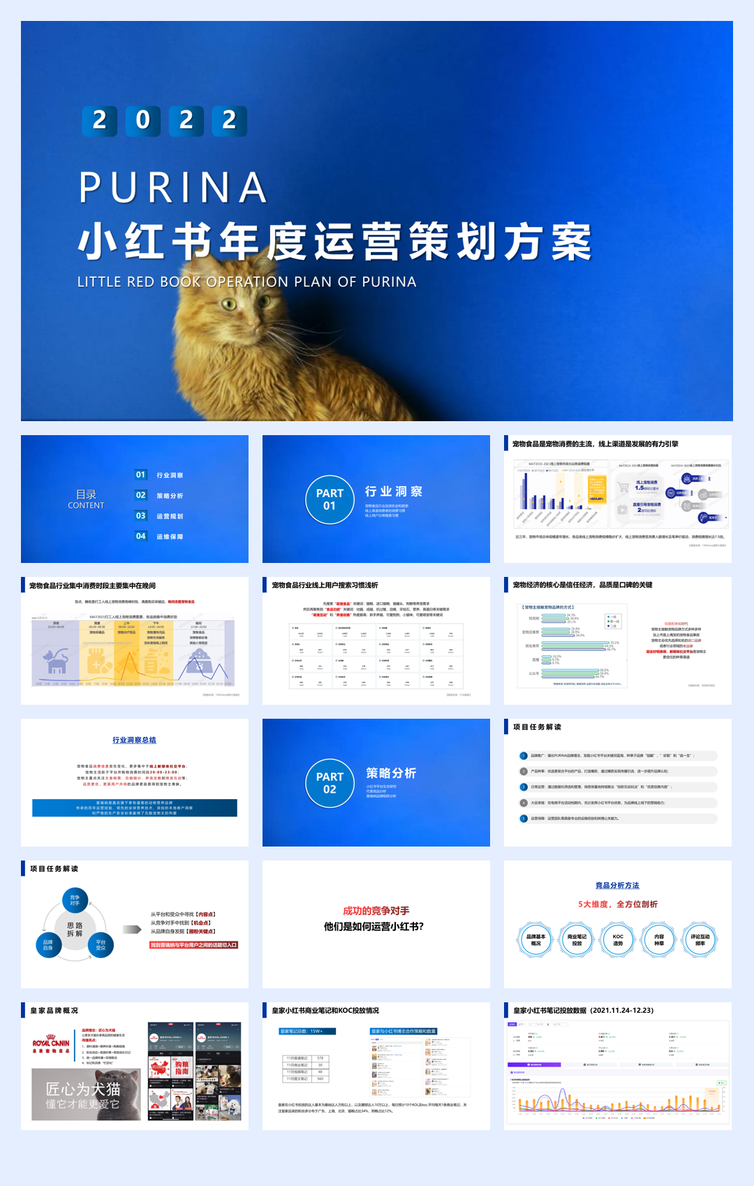 2022一线宠物粮食年度小红书传播运营规划方案【宠物食品】【种草带货】【小红书营销】.pdf