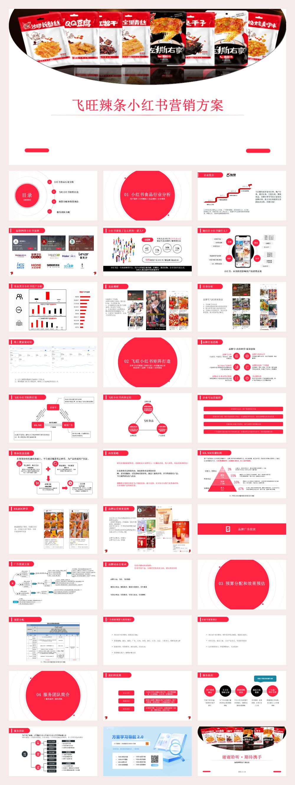 飞旺辣条小红书品牌营销方案.pptx