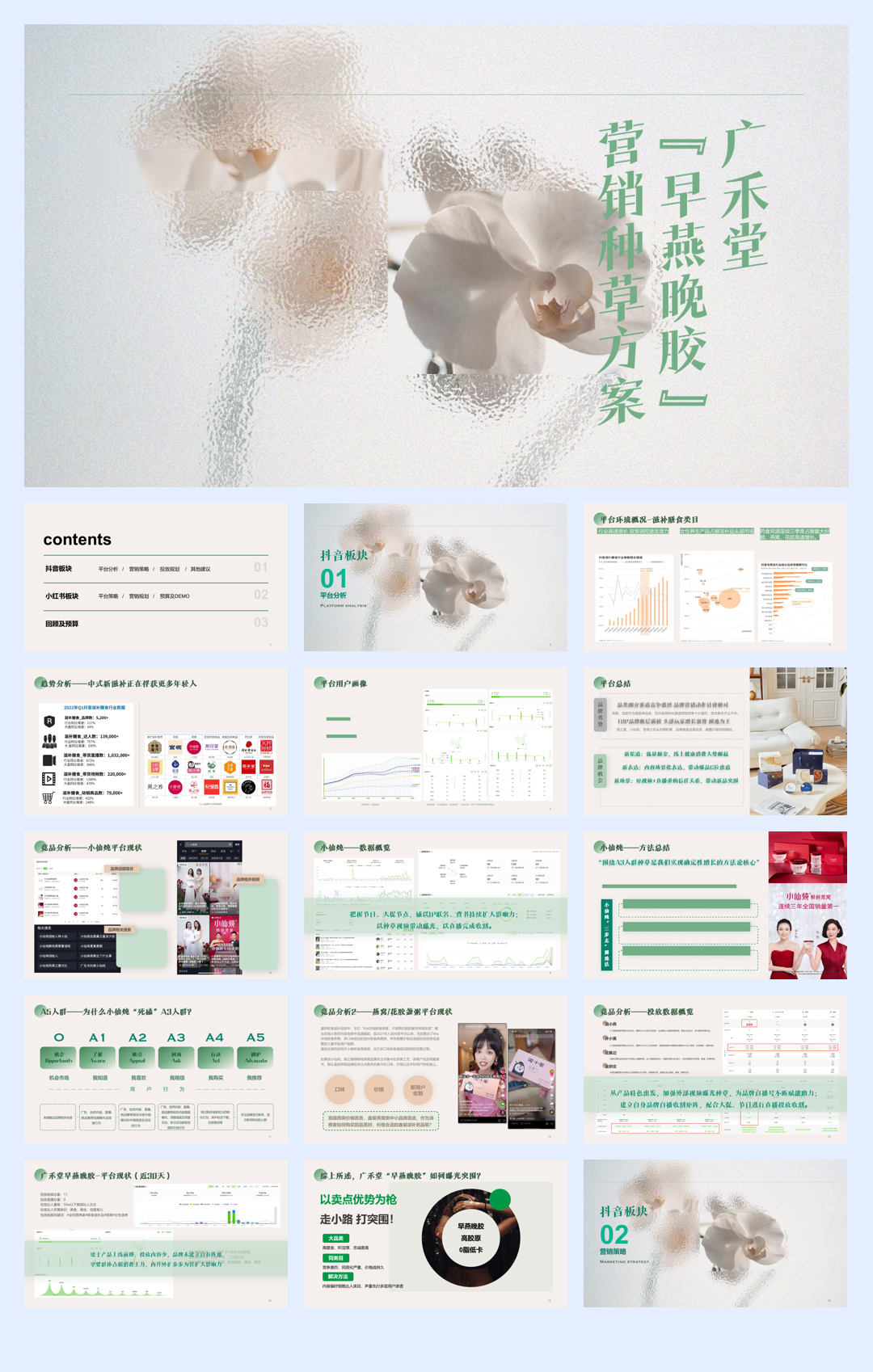 广禾堂-早燕晚胶盏营销种草方案-2023.pdf