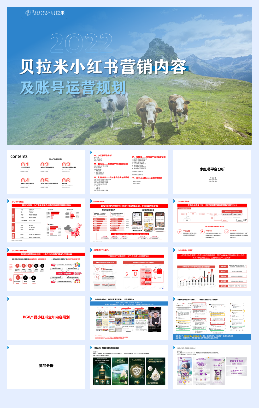 跨境奶粉小红书年度规划方案.pdf