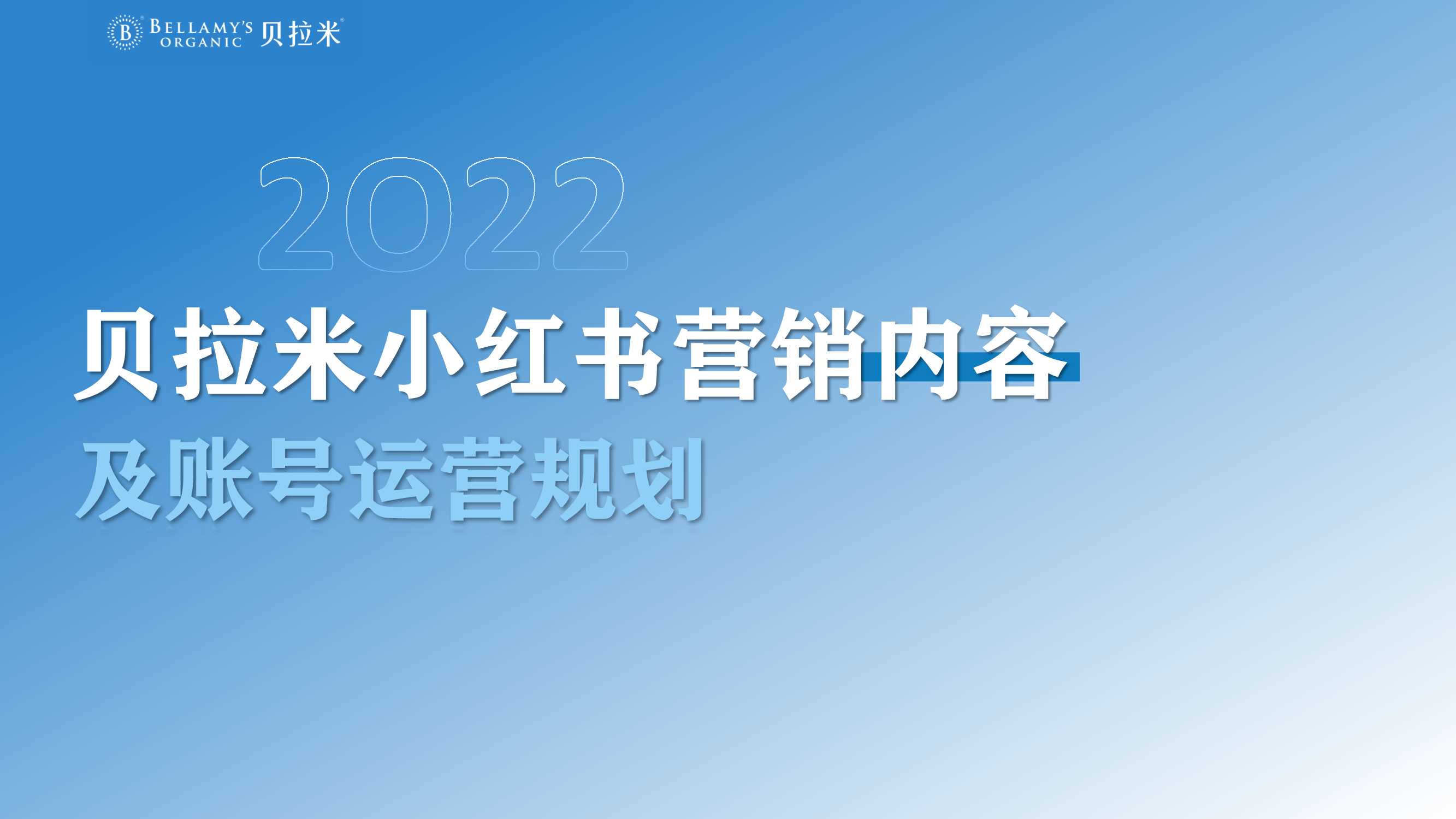 跨境奶粉小红书年度规划方案.pdf