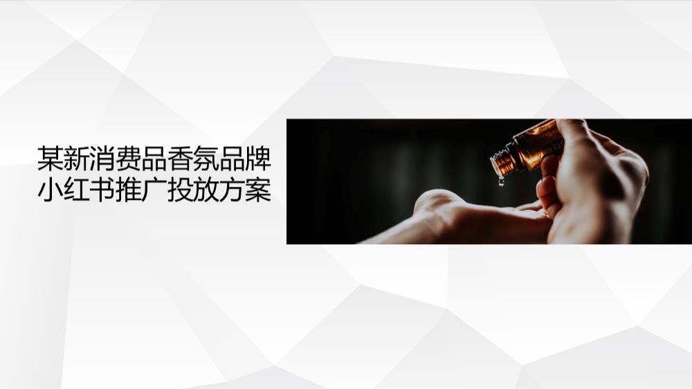 某香氛品牌小红书投放规划方案（新消费品）.pptx