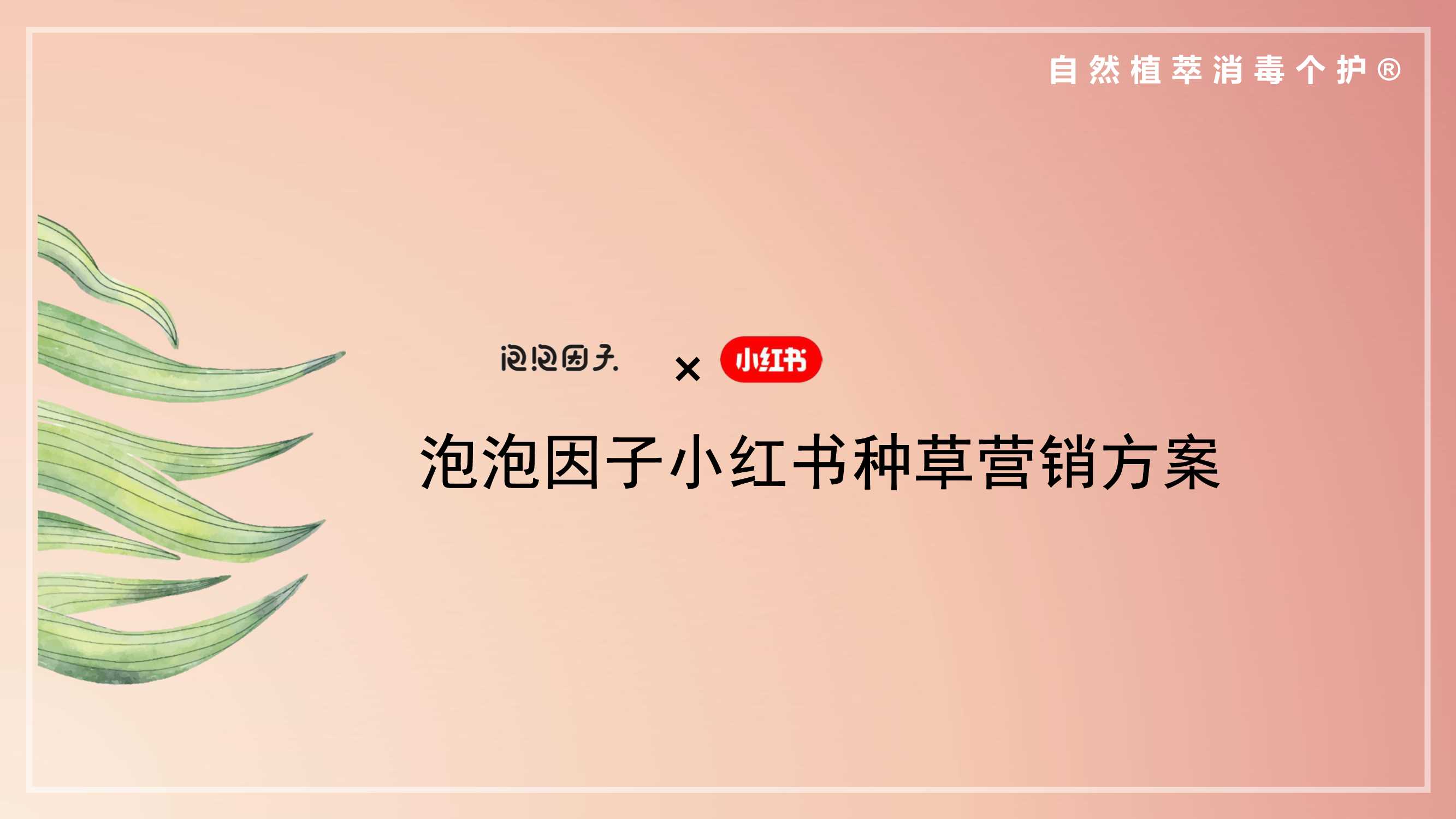 泡泡因子小红书种草营销方案对外版.pdf