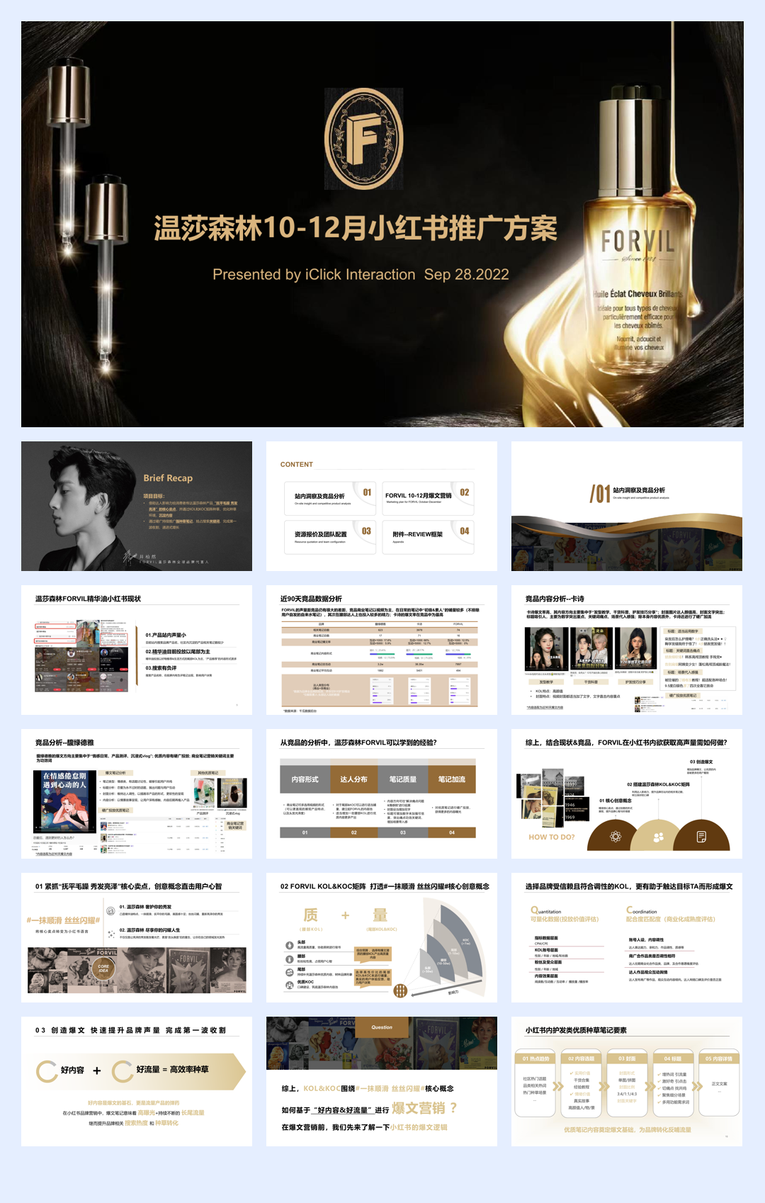 温莎森林FORVIL 10-12月爆文营销.pdf