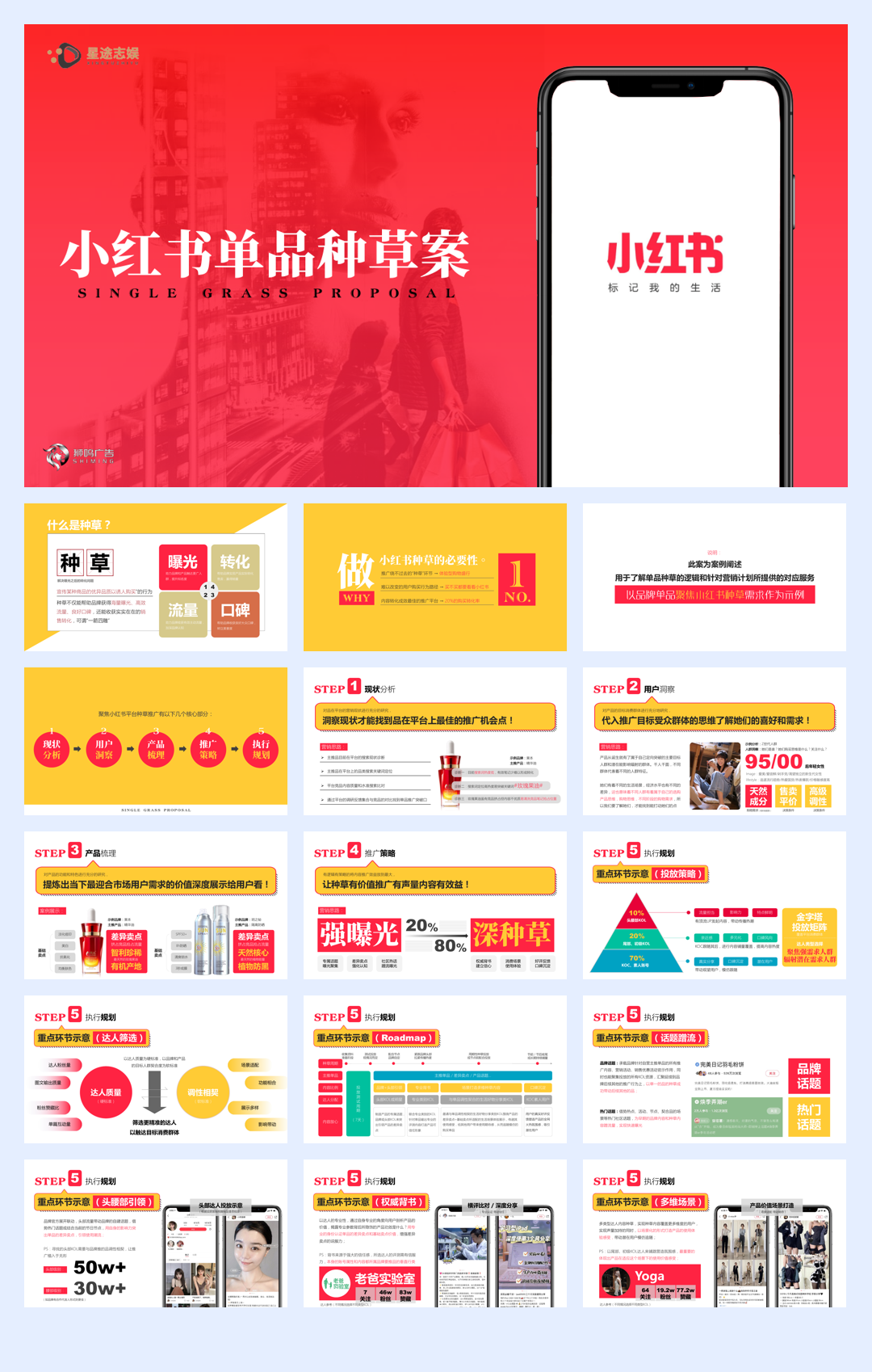 小红书单品种草案0809.pdf