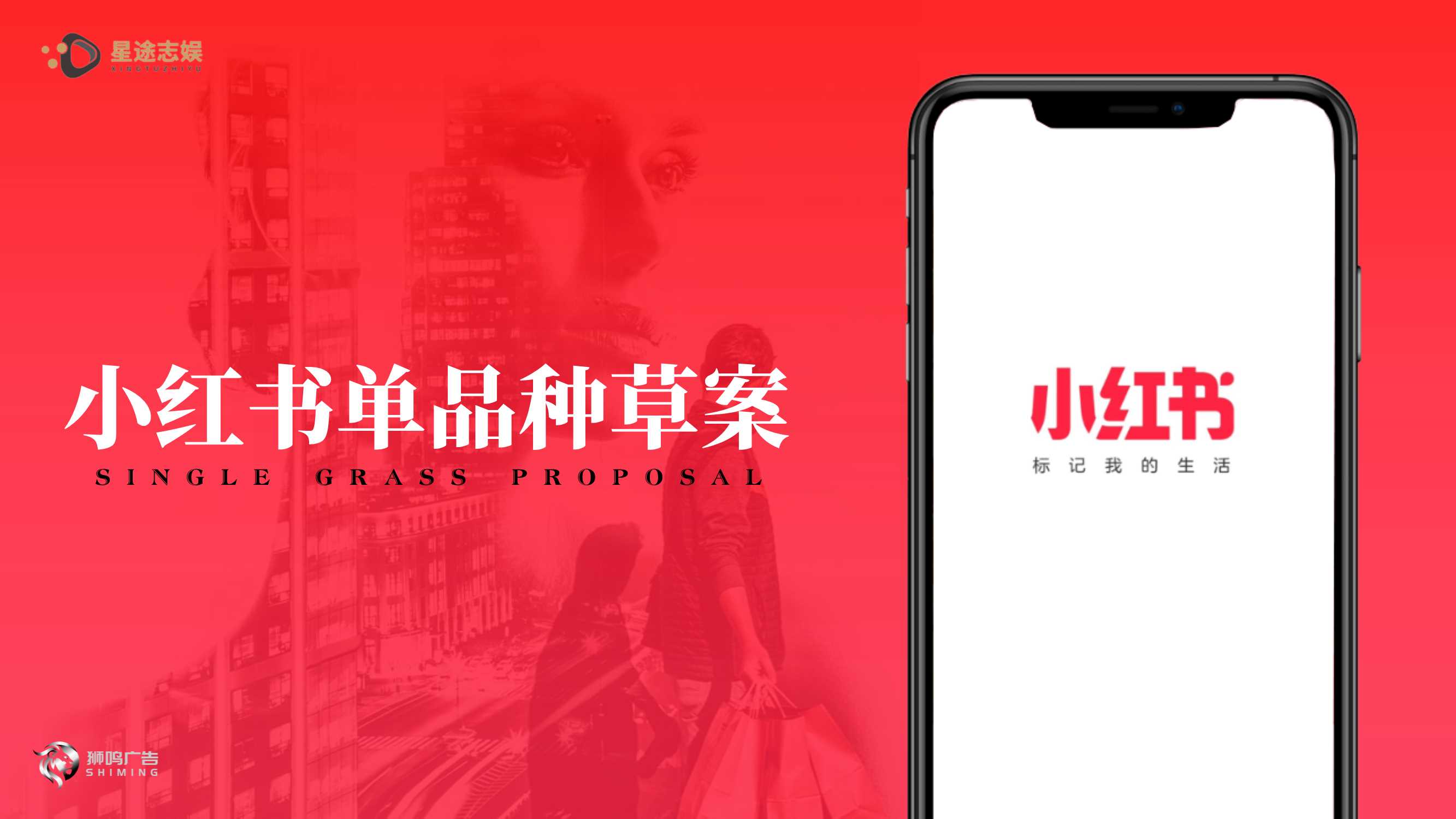 小红书单品种草案0809.pdf