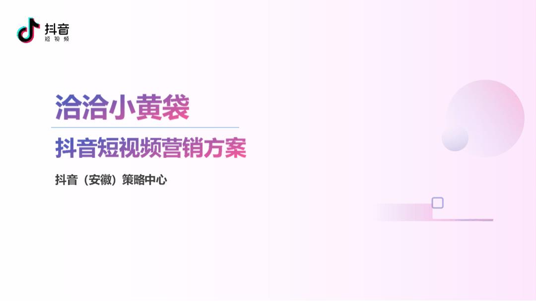 2020手艺人品牌短视频整合营销推广（含抖音、B站、社群）计划-43P.pptx