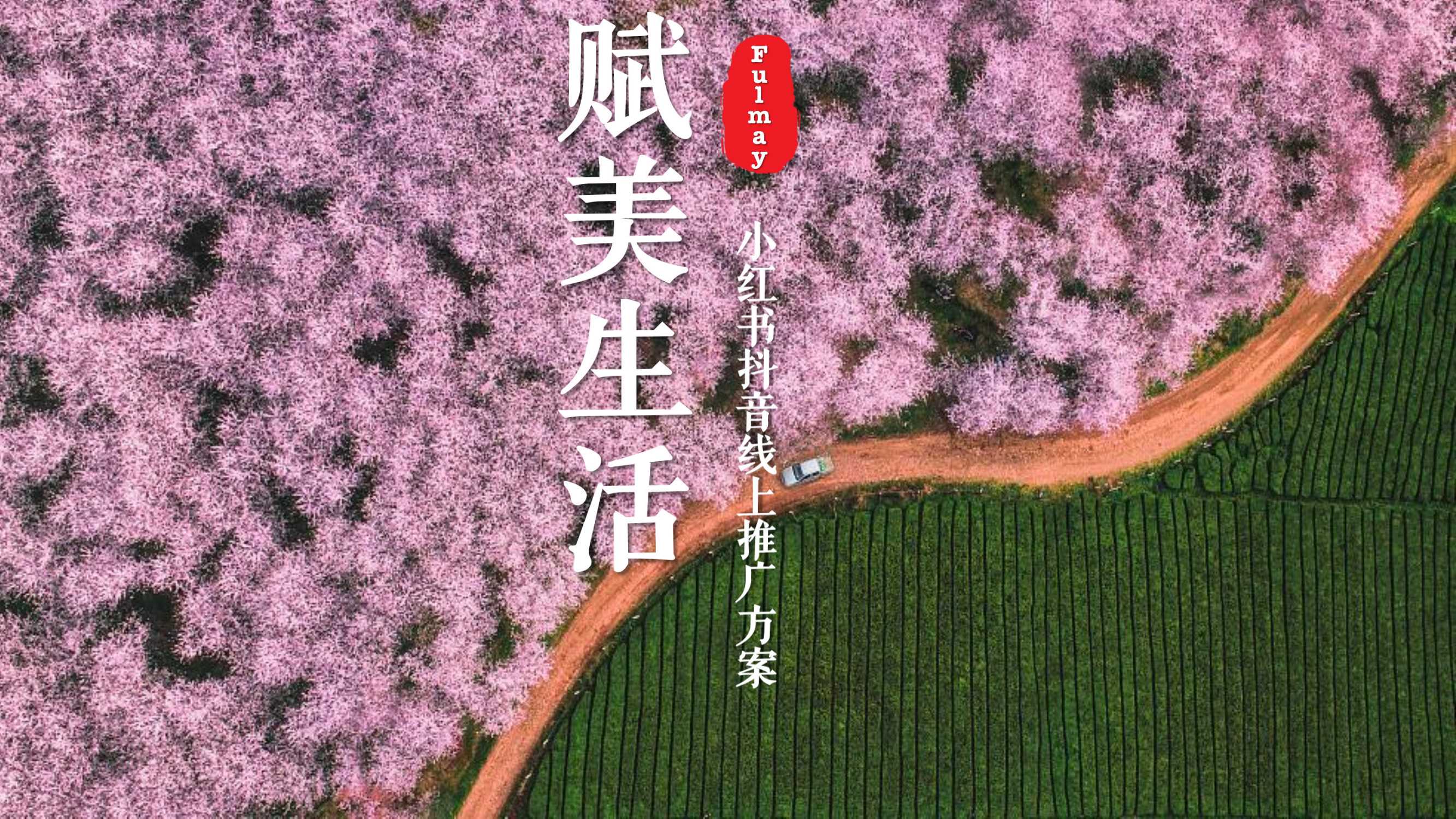 赋美生活小红书抖音线上传播方案.pdf