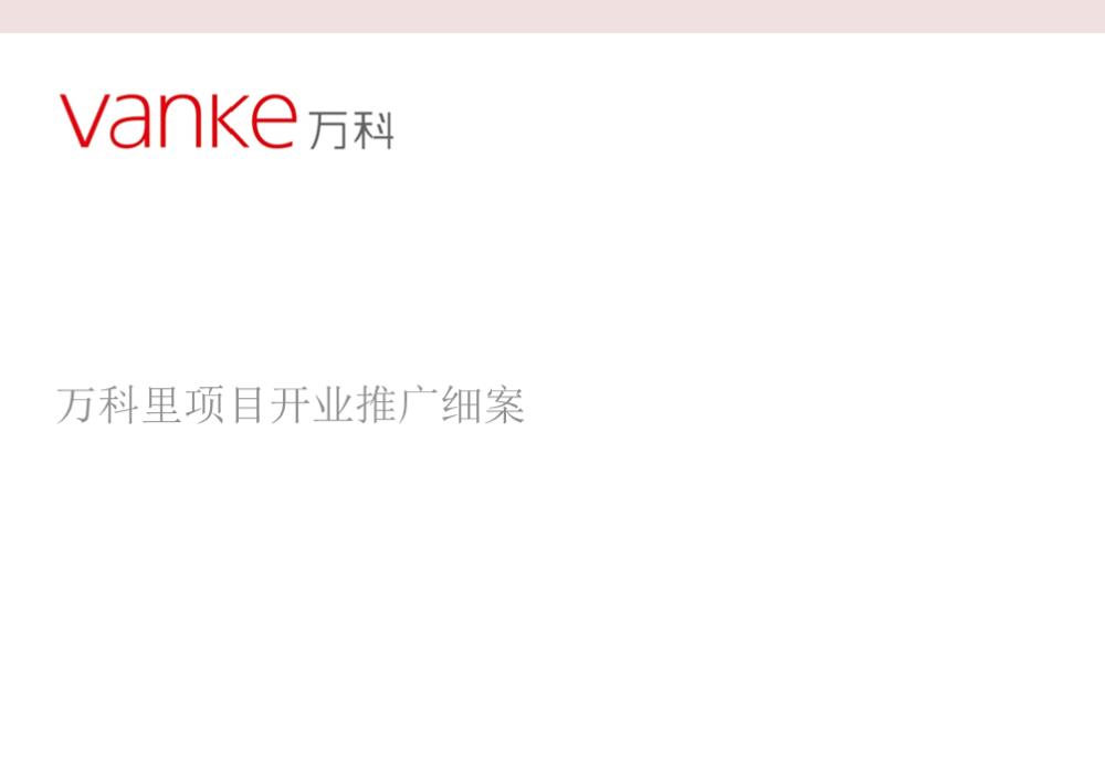 （地产）邻里商业开业推广方案.pptx