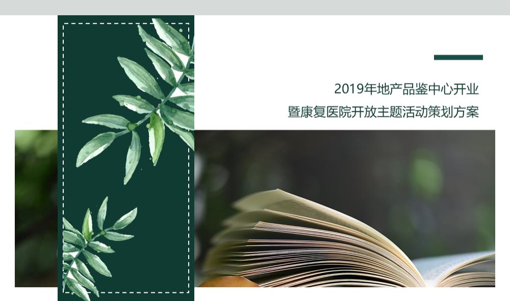 房地产品鉴中心开业暨康复医院开放主题活动方案.pptx