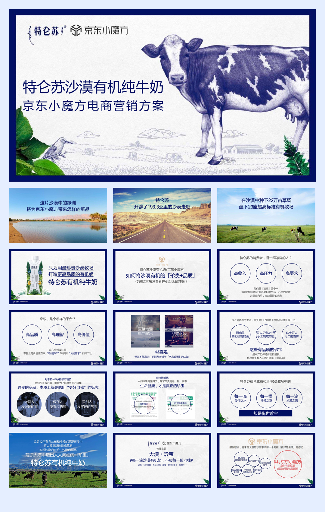 2020伴宝乐上市营销方案.pdf