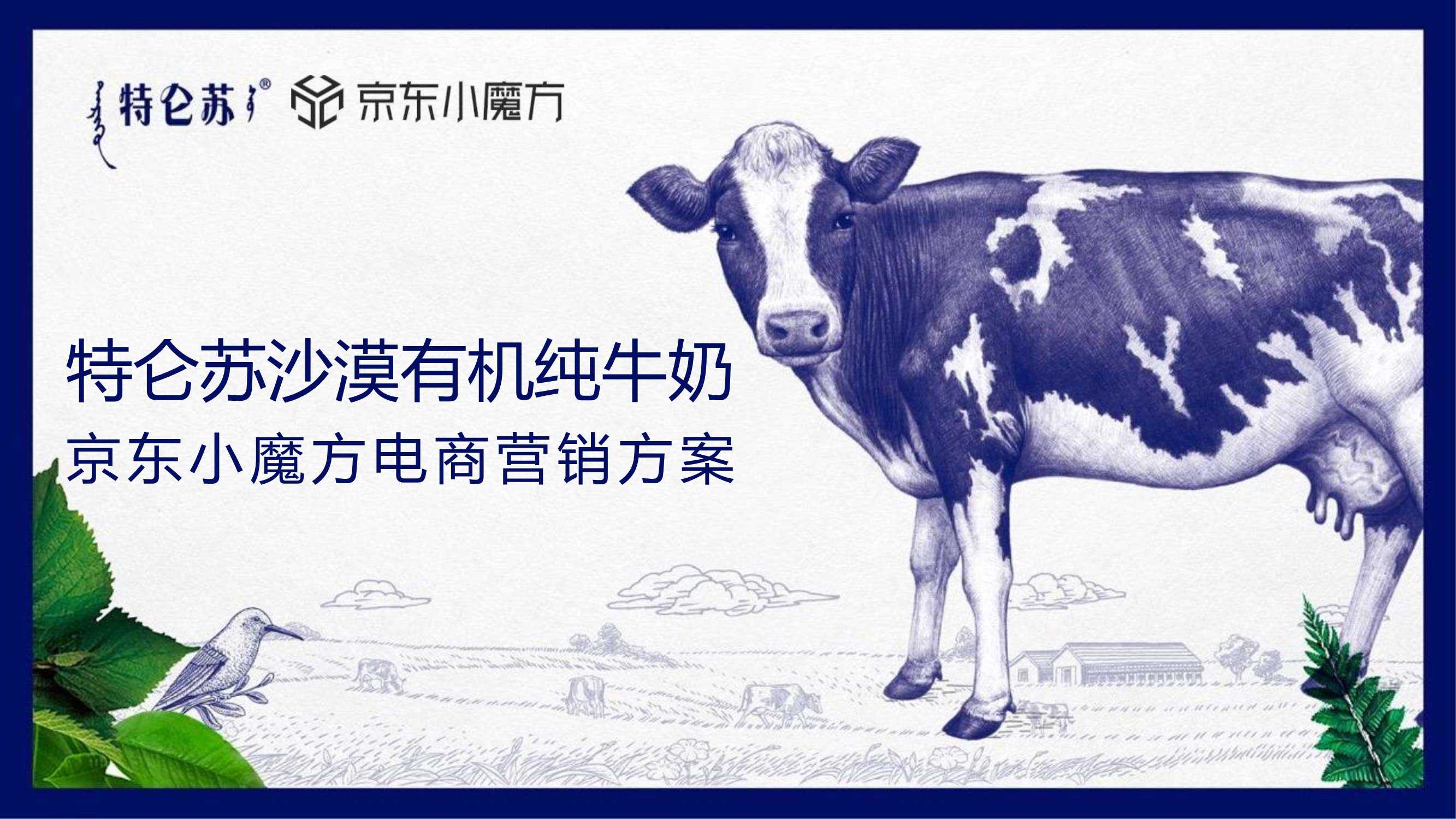 2020伴宝乐上市营销方案.pdf