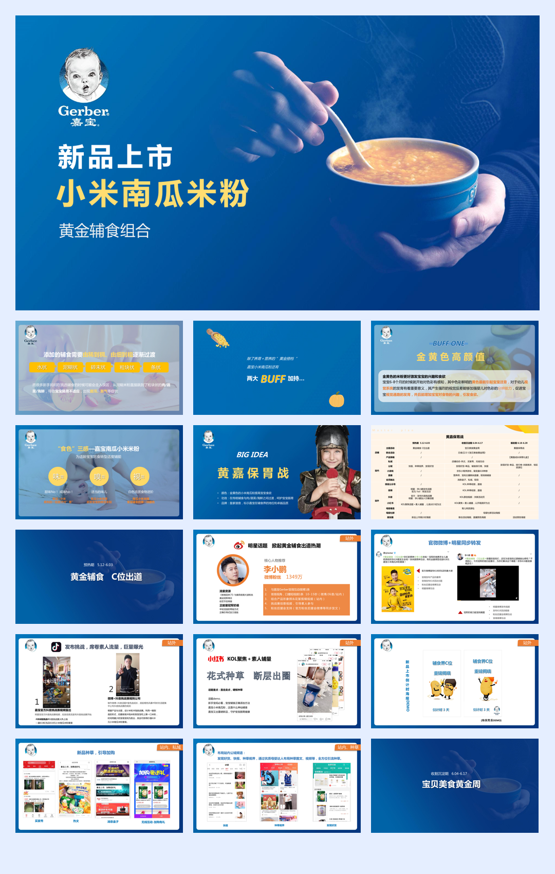 嘉宝新品618方案.pdf