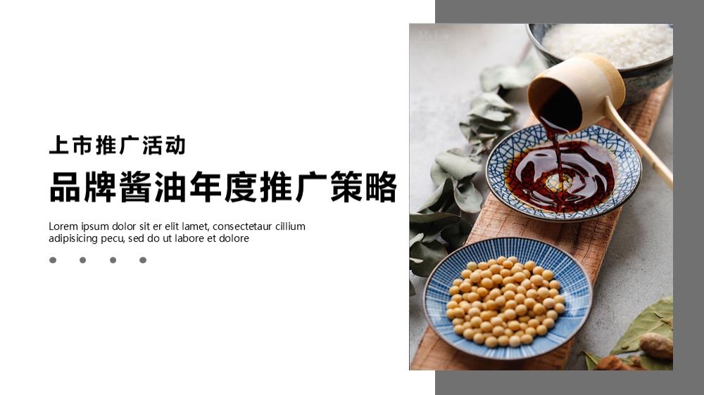 食品品牌酱油新品上市会策略案.ppt
