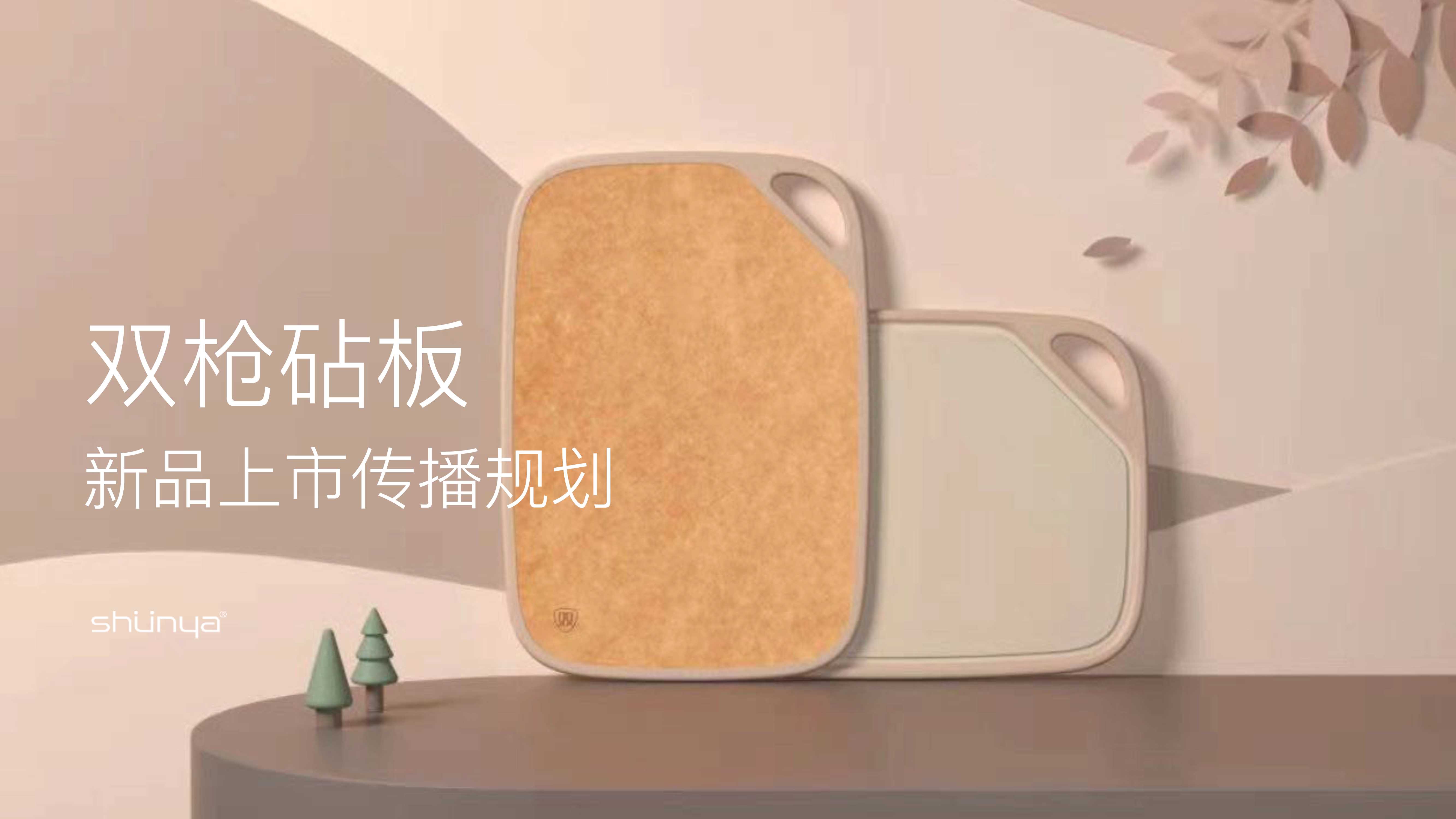 双枪砧板新品上市传播规划案.pdf