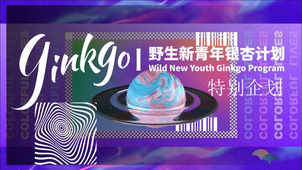 2023野生新青年银杏音乐节活动策划方案-63P.pptx