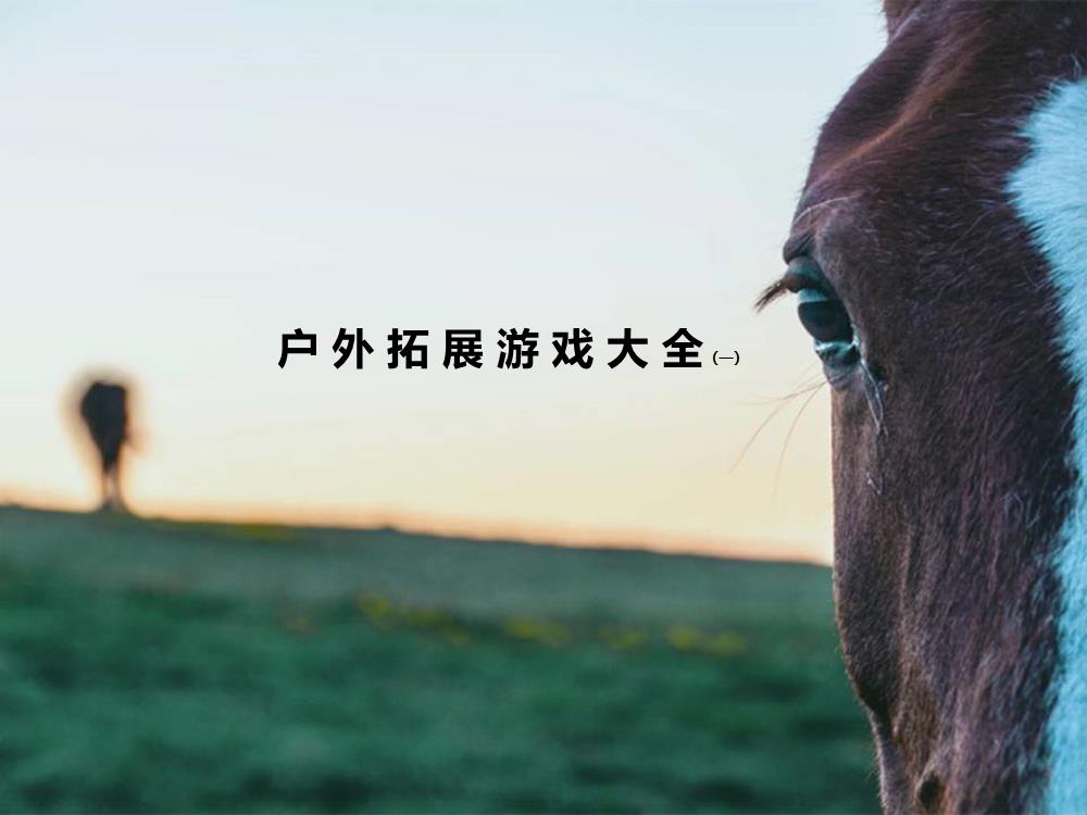 户外拓展游戏大全(一).pptx