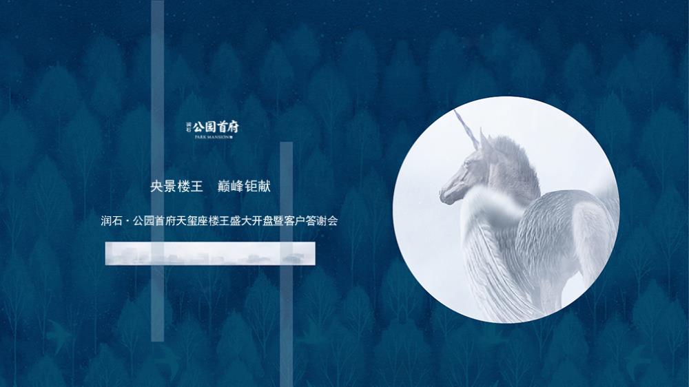 2018润石公园首府天玺座楼王盛大开盘暨客户答谢会策划案-33P.pptx