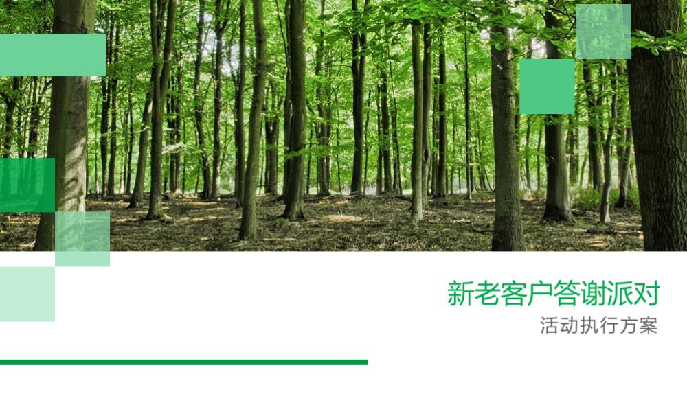 地产品牌新老客户答谢派对活动执行案.pptx