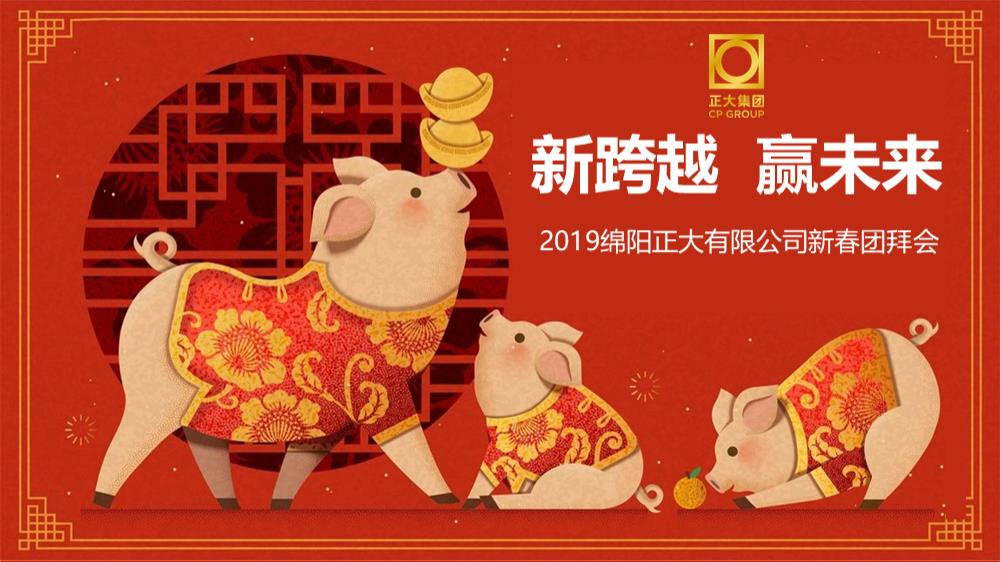 2019公司新春团拜会（新跨越  赢未来主题）活动策划方案.pptx