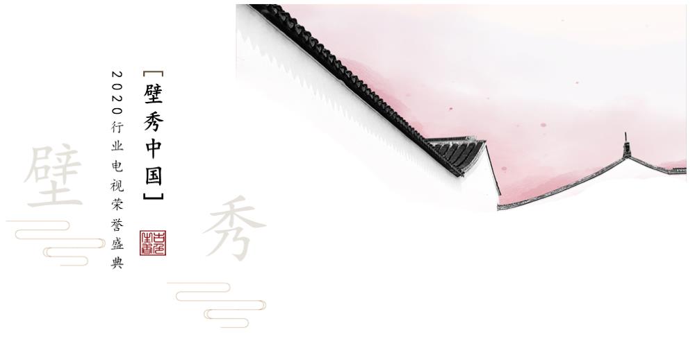 2020行业电视荣誉盛典策划方案.pptx
