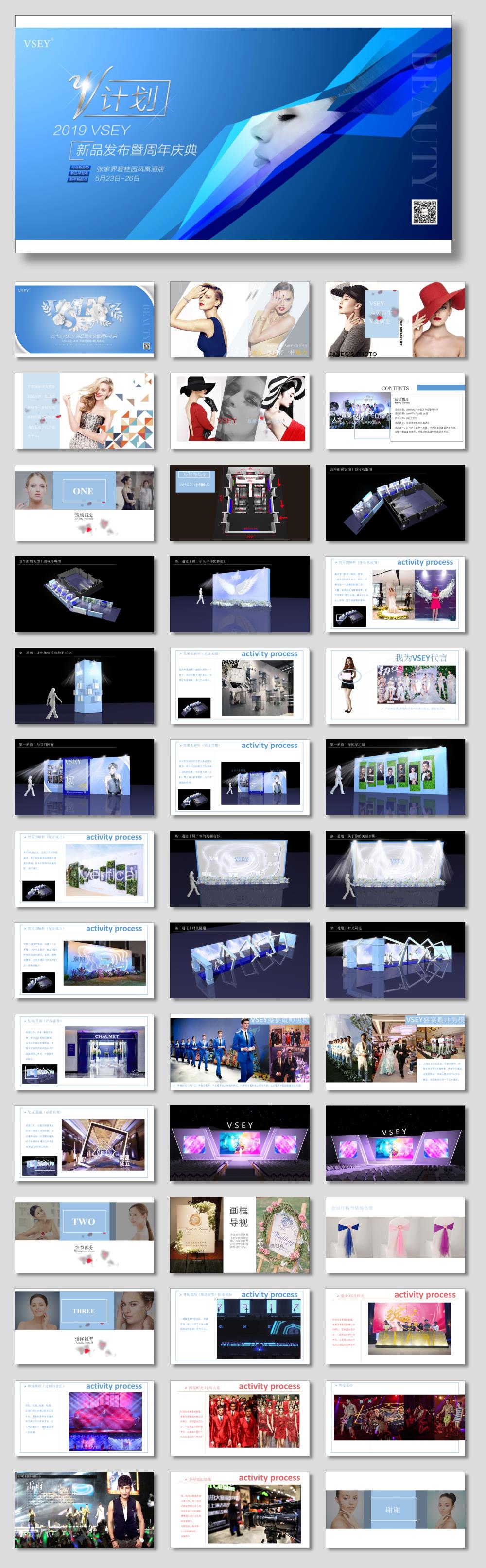 VSEY新品发布会暨周年庆方案-43页.pptx